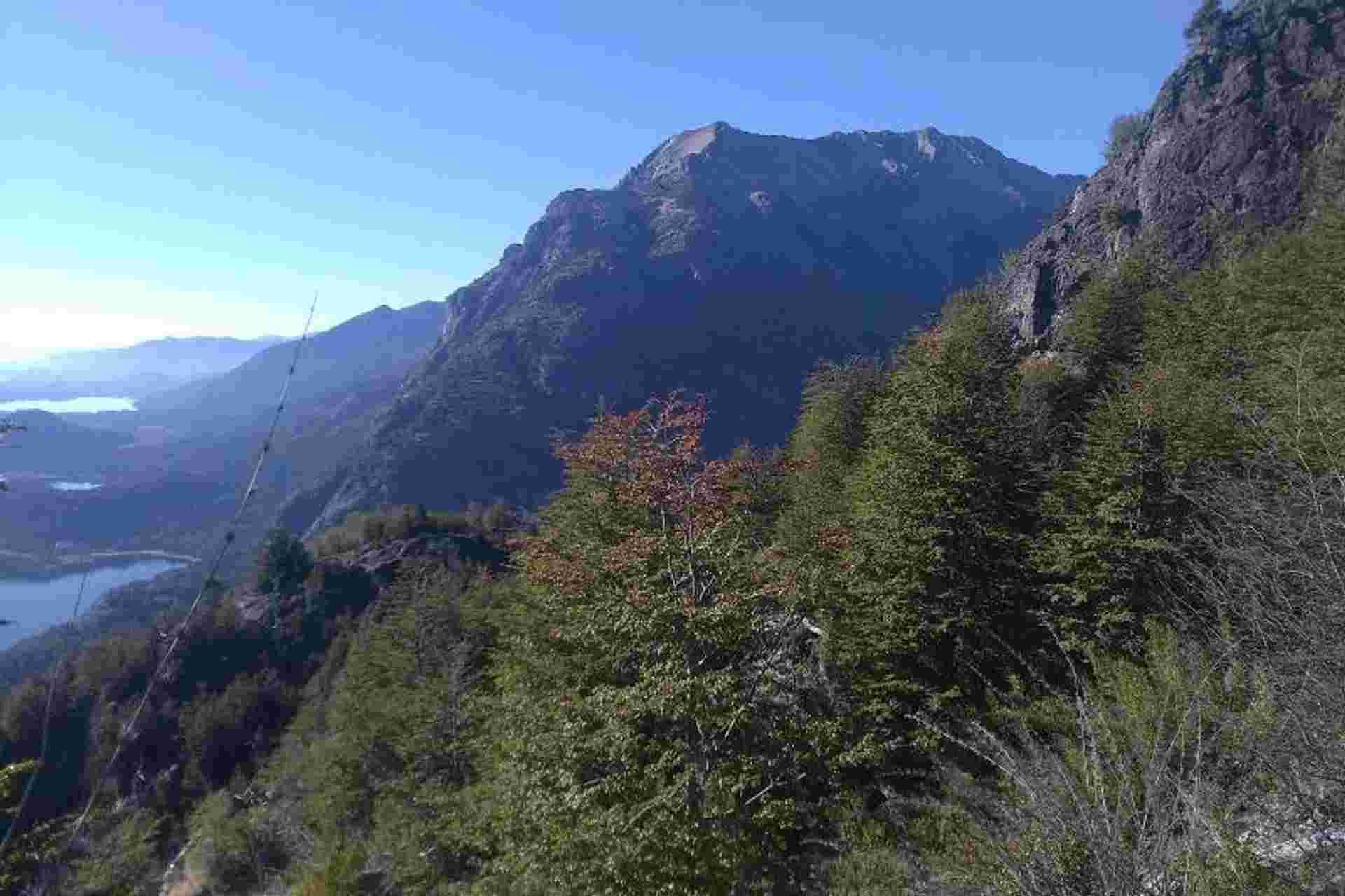 Half-Day Canopy Zipline Adventure