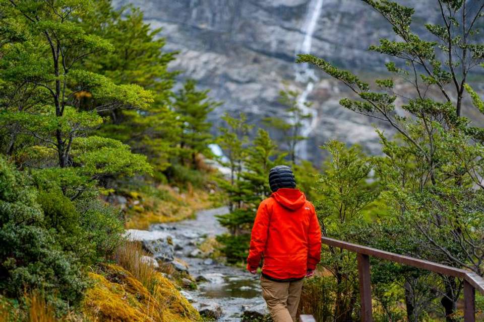 Half-Day Cruise to Balmaceda & Serrano Glaciers - Tangol Tours - Chile - Image 7