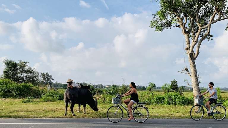 Half-day exploring local life by bicycle from Hoi An trip - alternative tour available