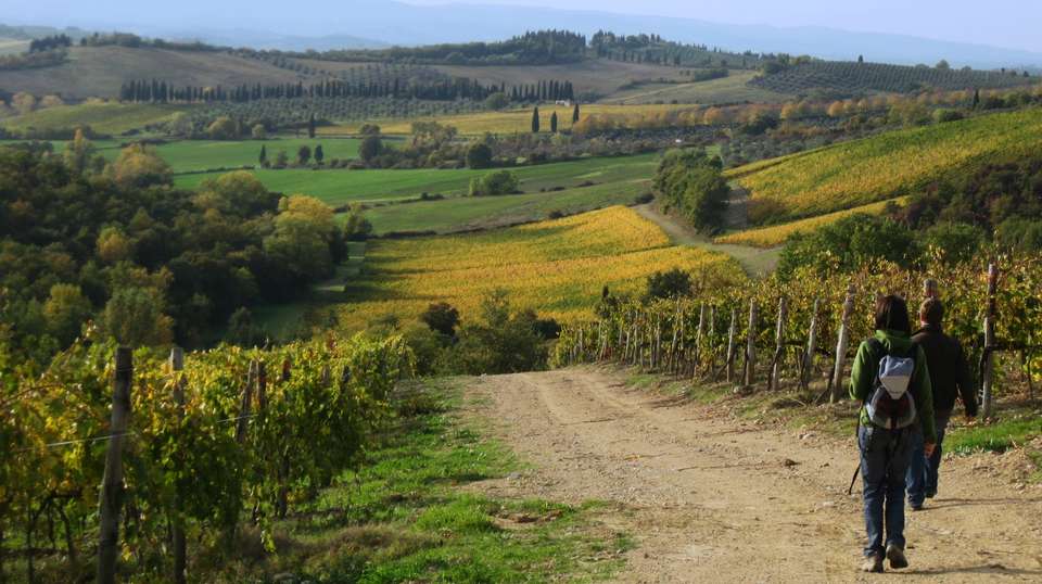 Half-Day Guided Hike to Monteriggioni from Siena - Tuscan Escapes - Italy