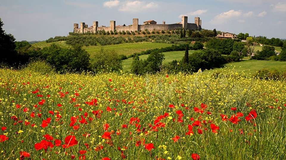 Half-Day Guided Hike to Monteriggioni from Siena - Tuscan Escapes - Italy