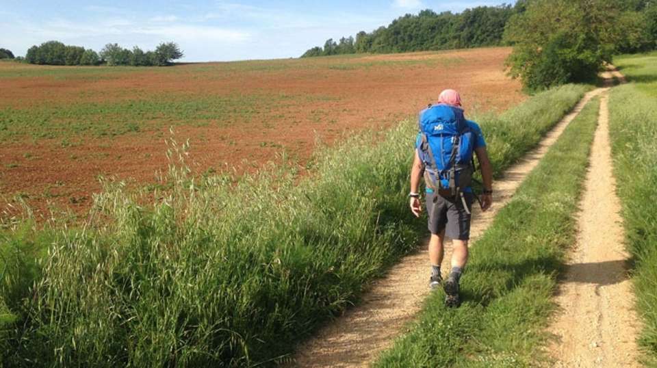 Half-Day Guided Hike to Monteriggioni from Siena - Tuscan Escapes - Italy