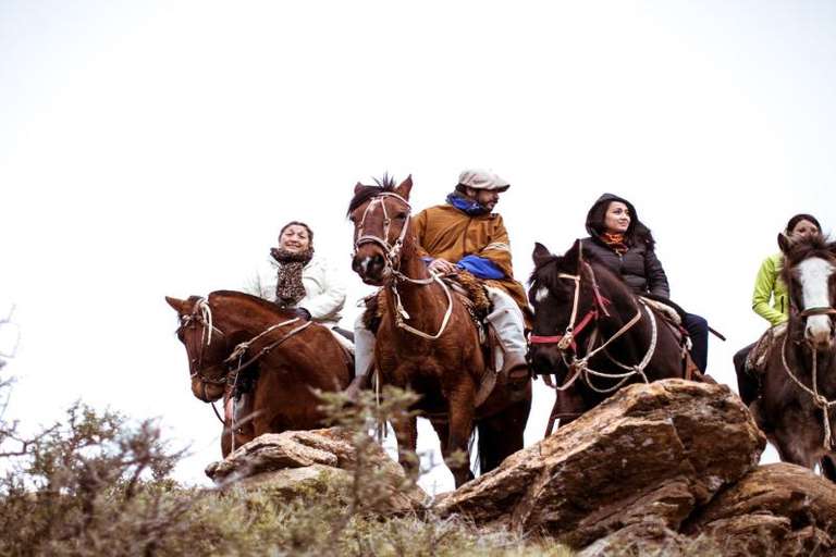 Half Day Horseback Riding in the Andes Mountains from Mendoza trip - alternative tour available