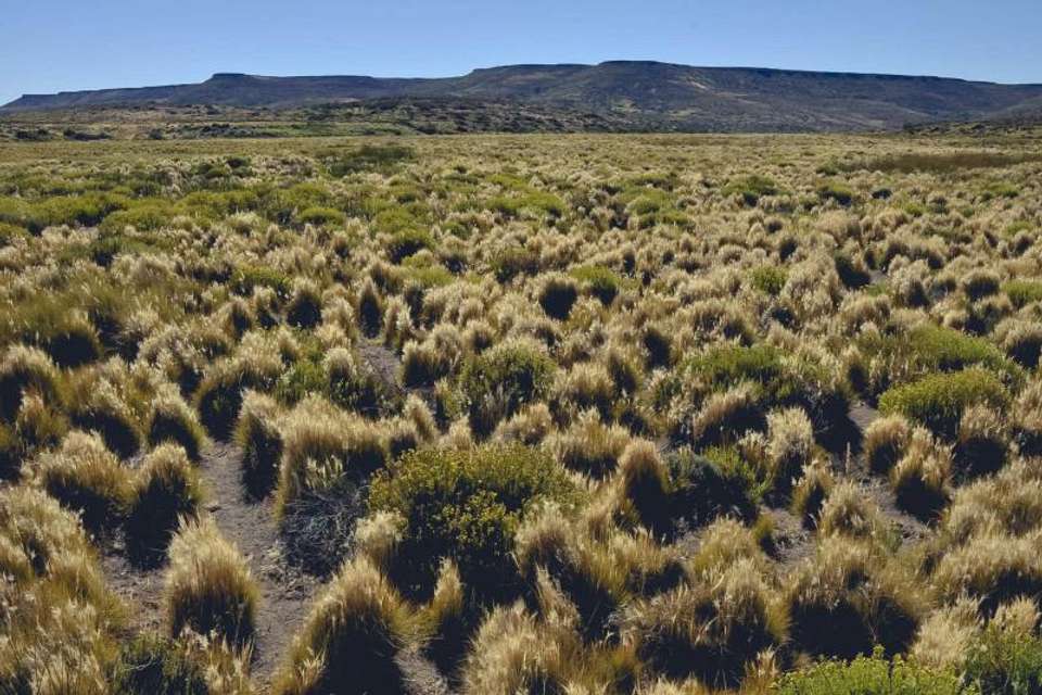 Half Day Horseback Riding Tour - Tangol Tours - Argentina - Image 3