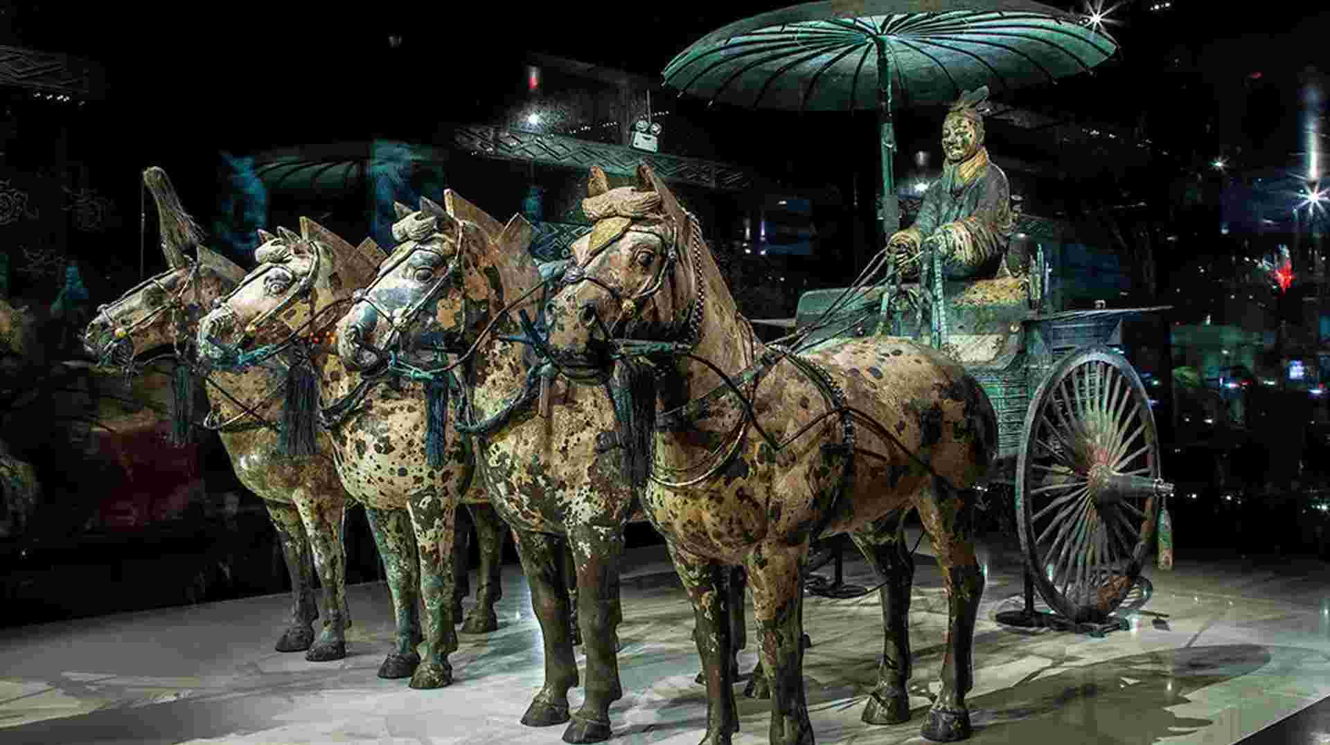 Half-Day Private Tour of the Terracotta Warriors Museum