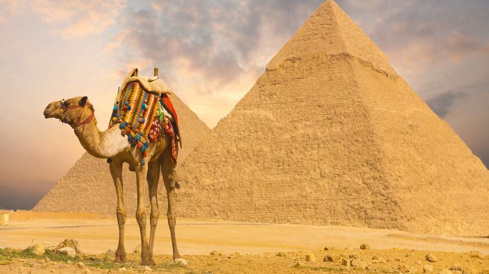 Half Day Tour of Giza Pyramid and the Sphinx - Your Egypt Tours - Egypt - Image 2