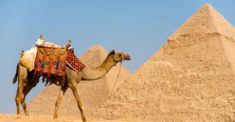 Half day Tour to Giza Pyramids by Camel - Emo Tours - Egypt - Image 1