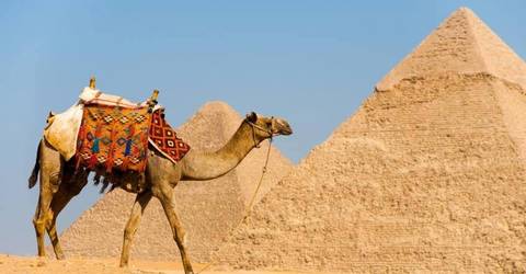 Half Day Tour To Giza Pyramids By Camel - Winter Tours