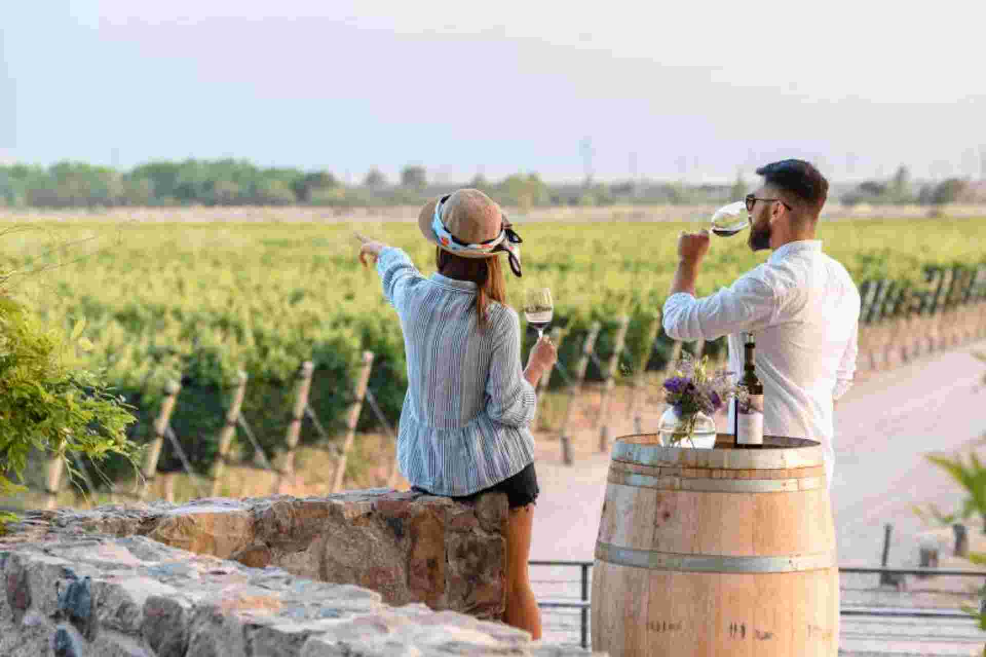 Half Day Wine Tasting in Cellar from Mendoza