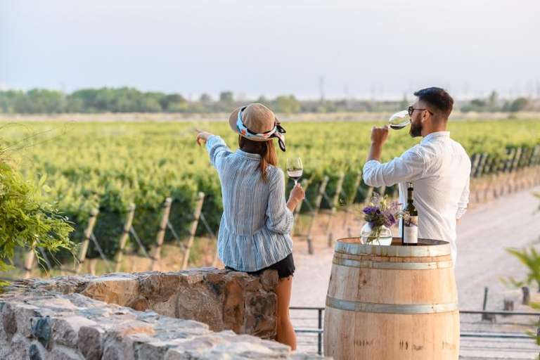 Half Day Wine Tasting in Cellar from Mendoza trip - alternative tour available