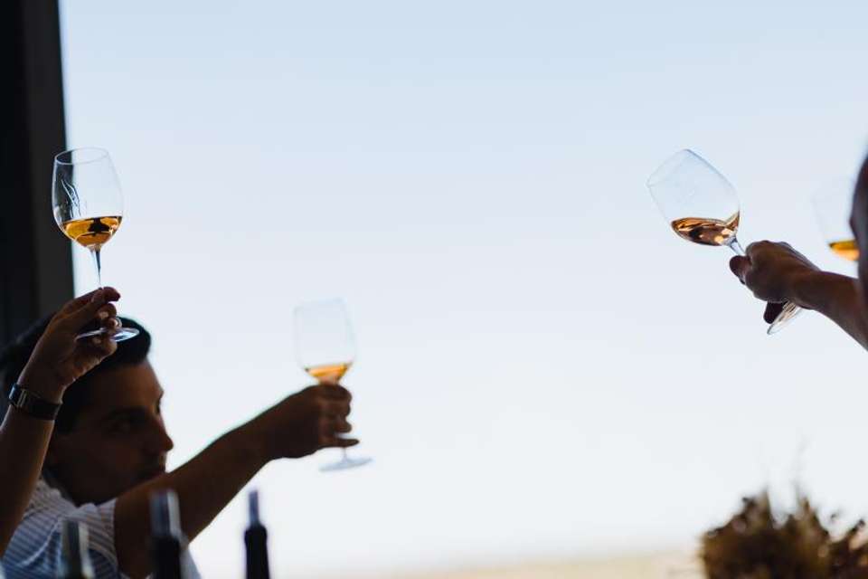 Half Day Wine Tasting in Cellar from Mendoza - Tangol Tours - Argentina - Image 2
