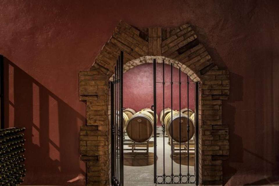 Half Day Wine Tasting in Cellar from Mendoza - Tangol Tours - Argentina - Image 3