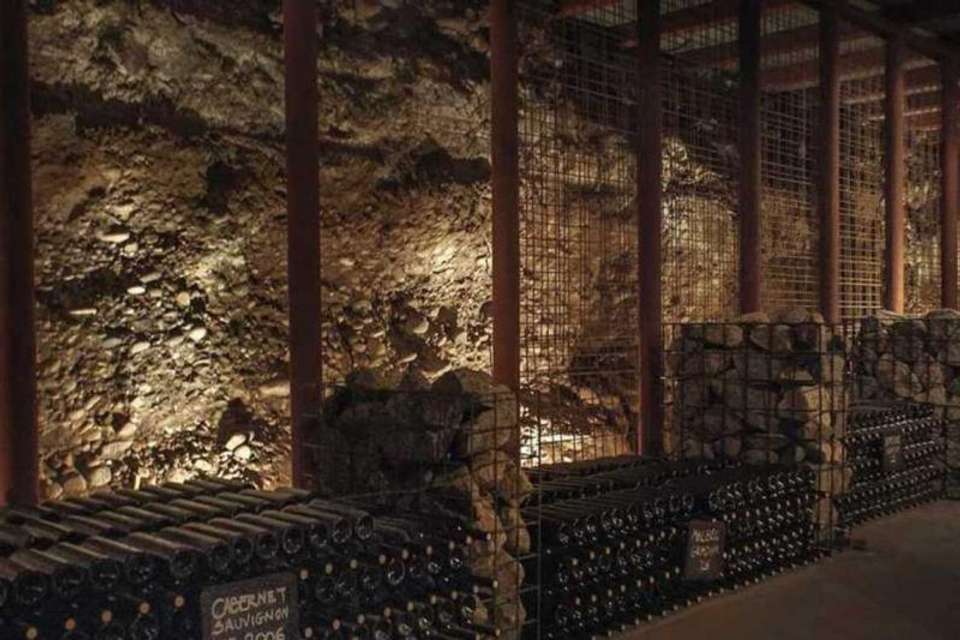 Half Day Wine Tasting in Cellar from Mendoza - Tangol Tours - Argentina - Image 7