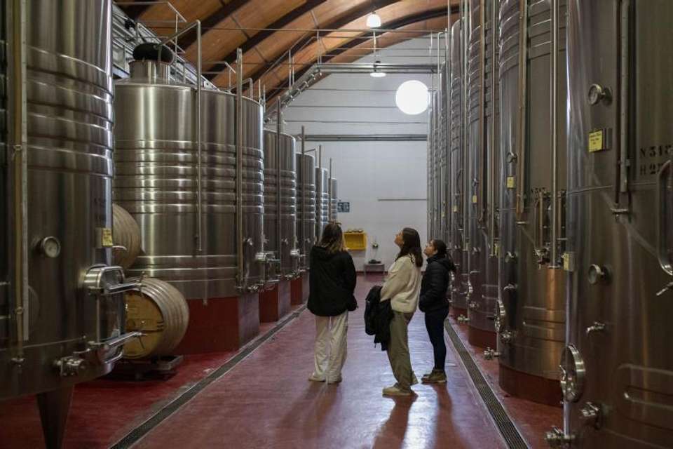 Half Day Wine Tasting in Cellar from Mendoza - Tangol Tours - Argentina - Image 10