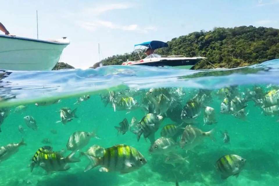 Half Island Tour - Ilha Grande - Tangol Tours - Brazil - Image 6