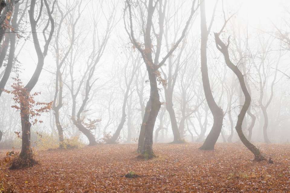 Halloween in Transylvania (Southbound) - Intrepid Travel - Romania - Image 4
