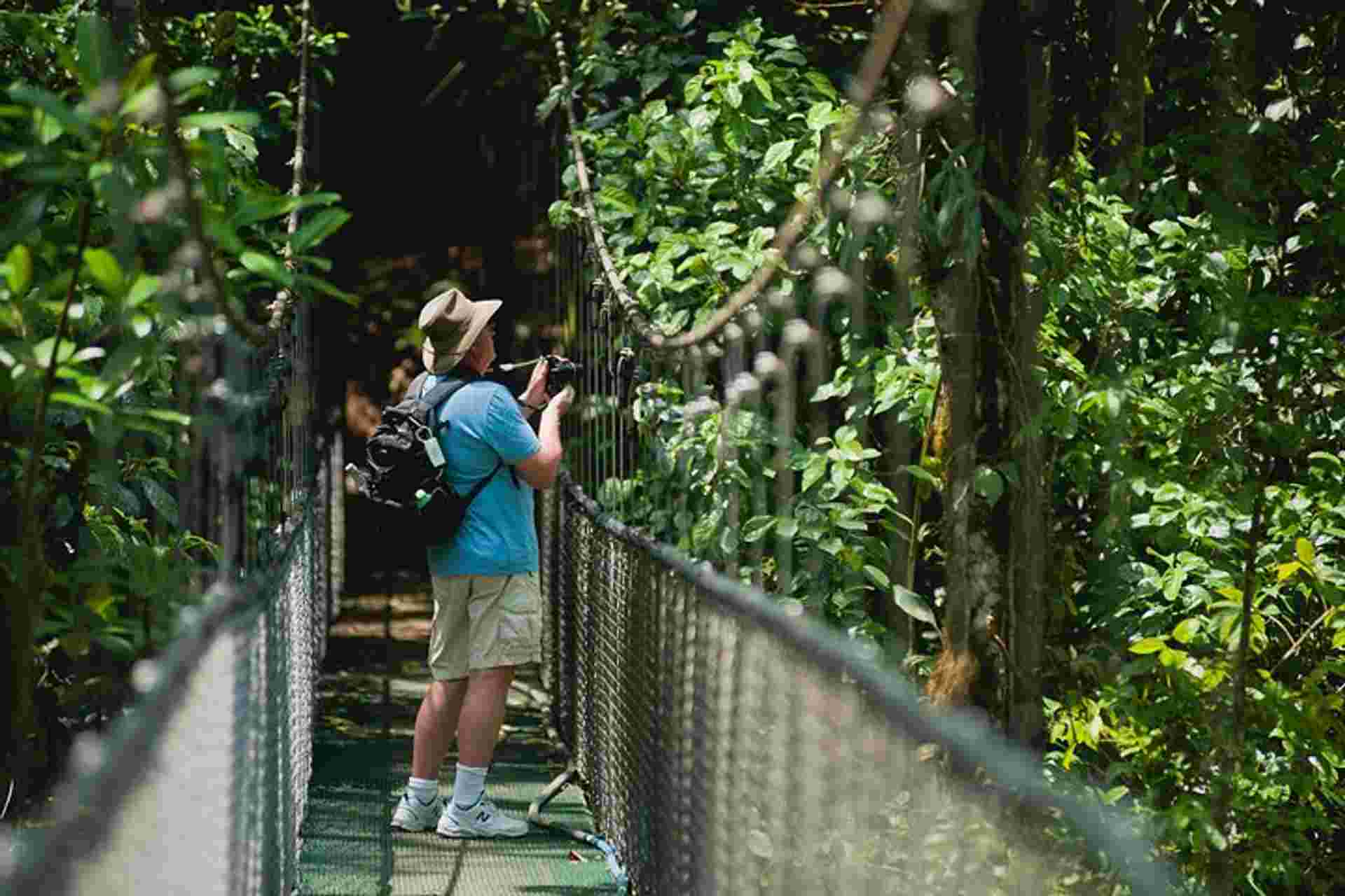 Hanging Bridges Adventure San Luis From San Jose