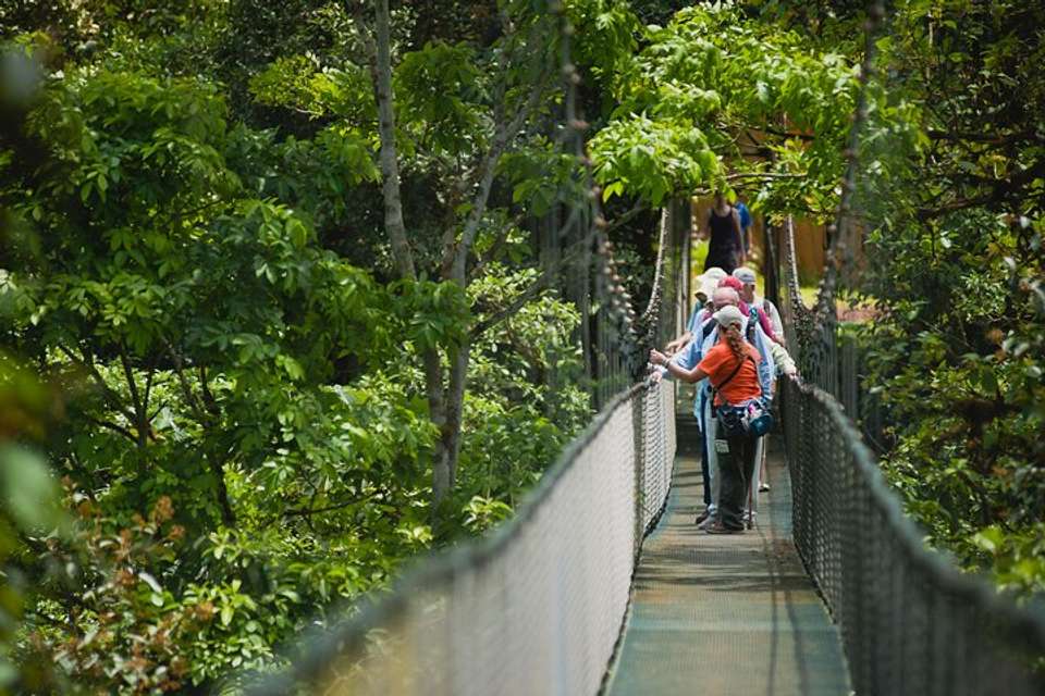 Hanging Bridges Adventure San Luis From San Jose - Destination Services - Costa Rica - Image 3