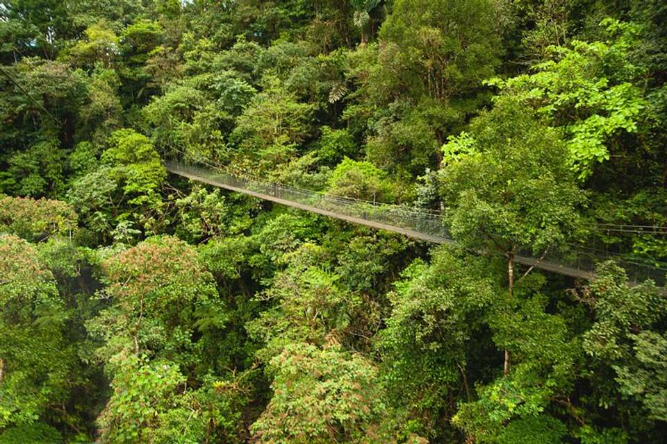Hanging Bridges Adventure San Luis From San Jose - Destination Services - Costa Rica - Image 4