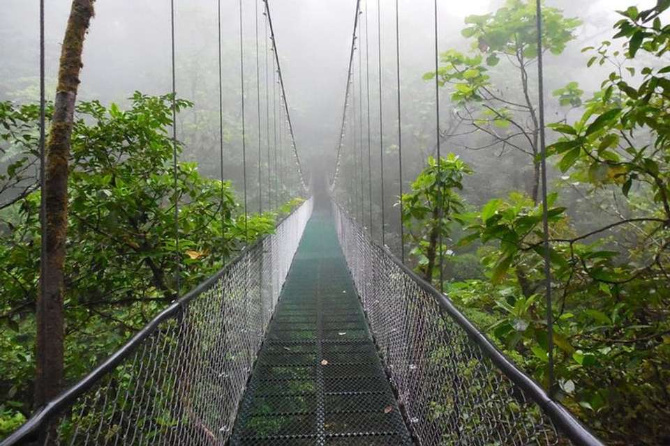 Hanging Bridges Adventure San Luis From San Jose - Destination Services - Costa Rica - Image 6