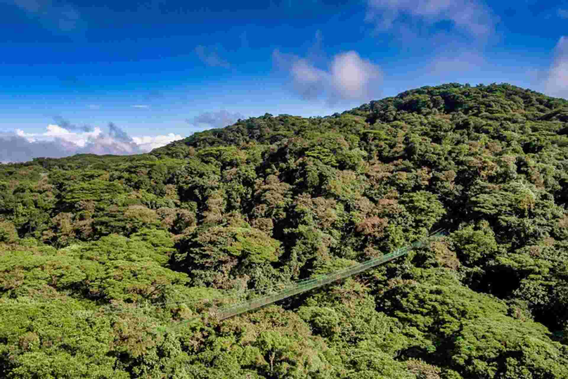 Hanging Bridges And Tour Guide From Monteverde