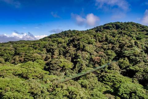 Costa Rica Bus Tour: Hanging Bridges And Tour Guide From Monteverde