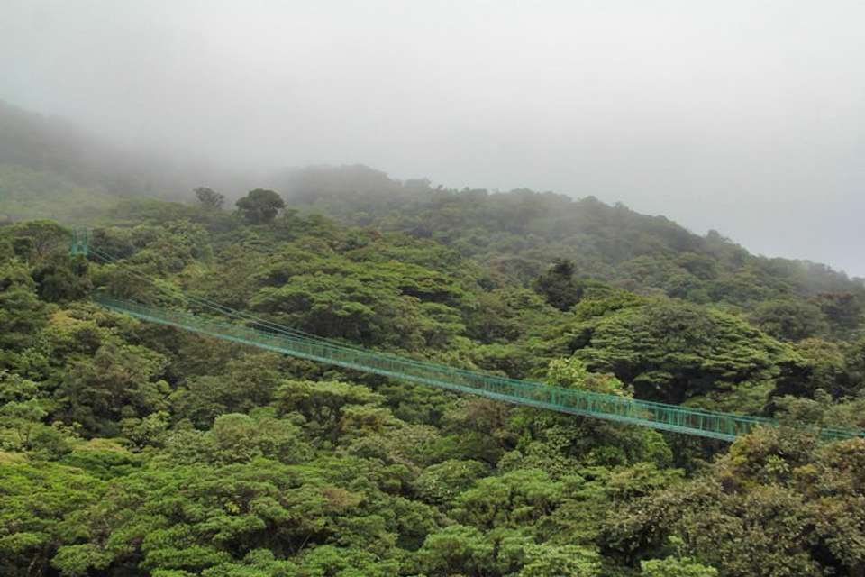 Hanging Bridges And Tour Guide From Monteverde - undefined - Image 3