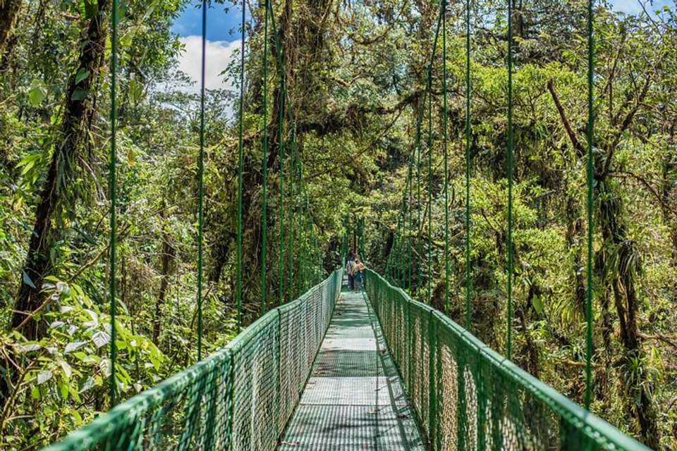 Hanging Bridges And Tour Guide From Monteverde - undefined - Image 4