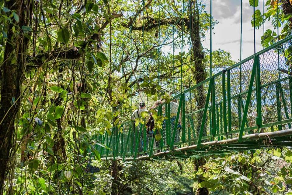 Hanging Bridges And Tour Guide From Monteverde - undefined - Image 6