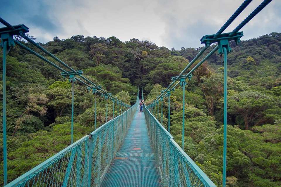 Hanging Bridges And Tour Guide From Monteverde - undefined - Image 9