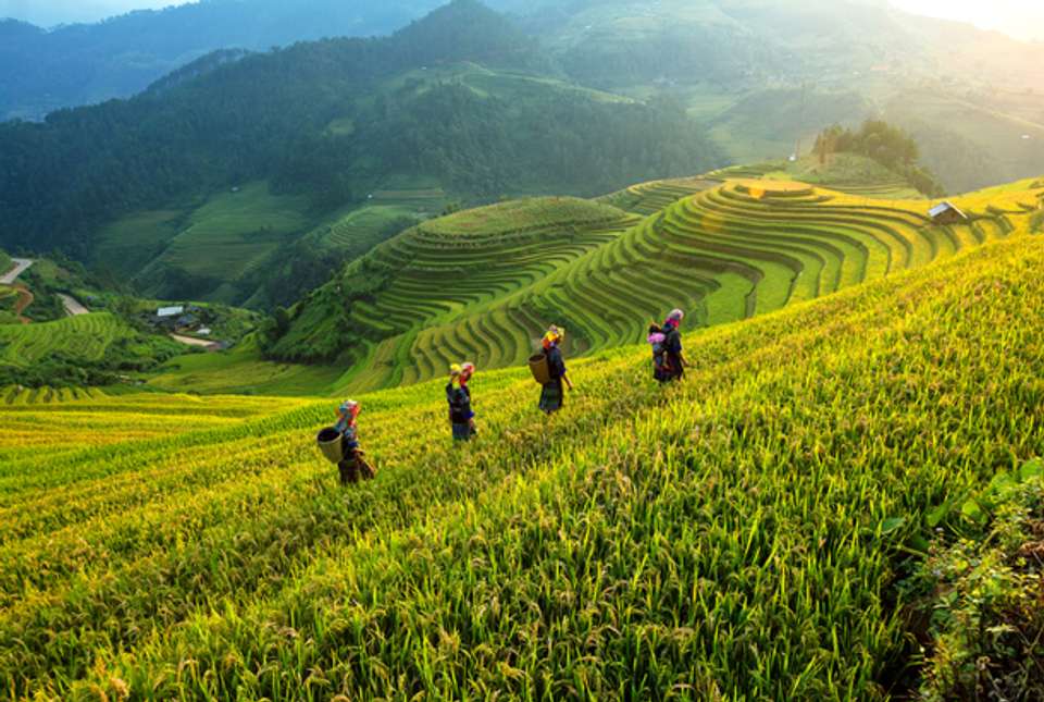 Hanoi, Halong & Sapa - 7 days - On The Go Tours - Vietnam