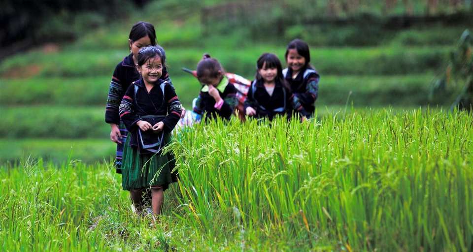 Hanoi to Ba Be National Park - 3 days - On The Go Tours - Vietnam - Image 3