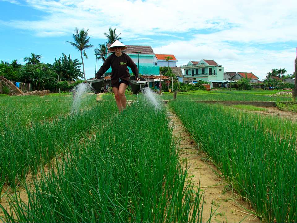 Hanoi to Hoi An - 8 days - On The Go Tours - Vietnam