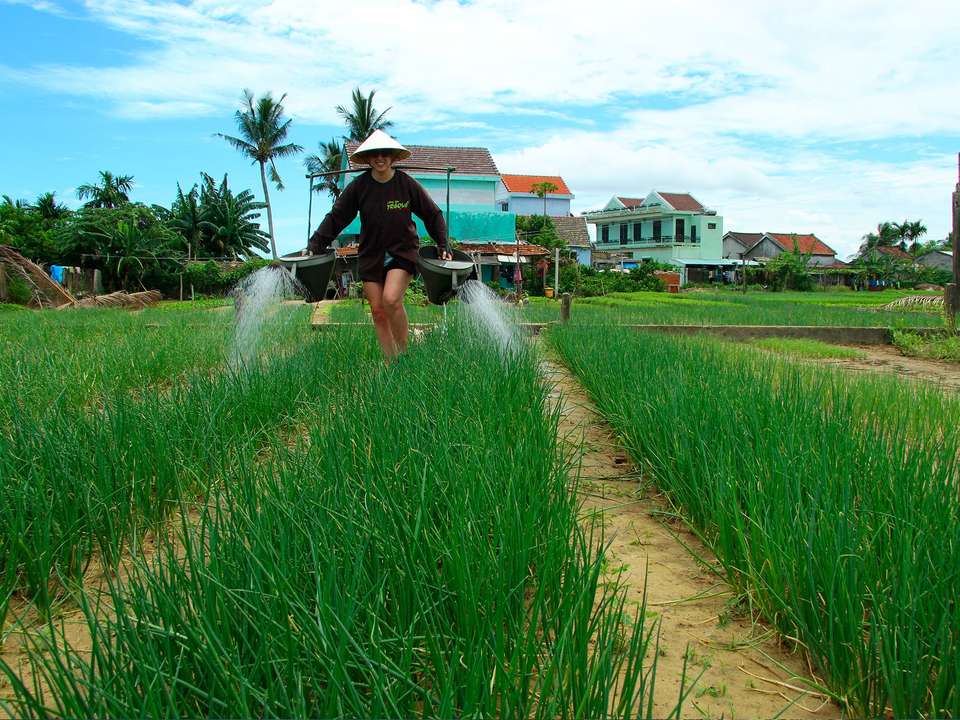 Hanoi to Hoi An - 8 days - On The Go Tours - Vietnam - Image 4