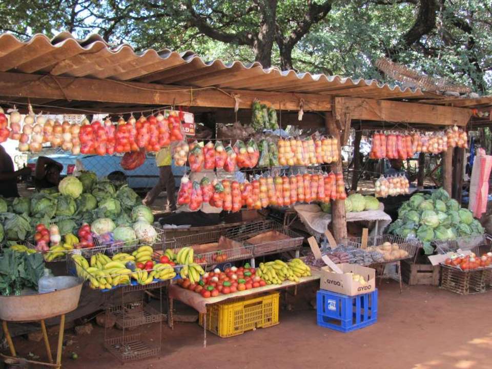Harare To Cape Town (34 Days) Deltas & Dunes - Oasis Overland - Zimbabwe - Image 6