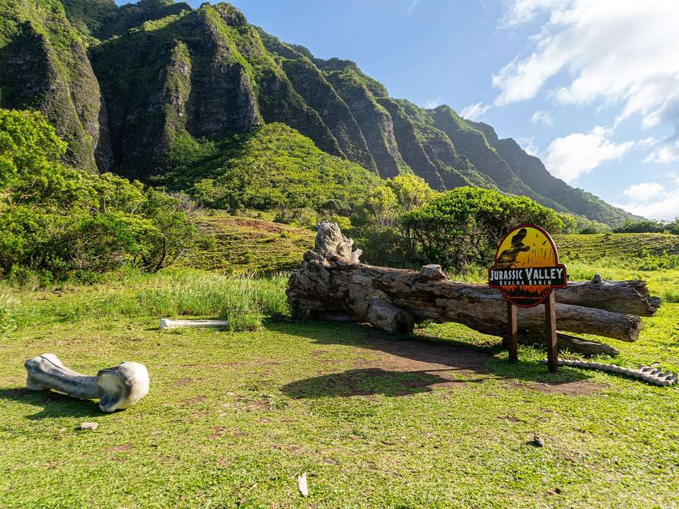 Hawaii Oahu Explorer - 7 days - On The Go Tours - USA - Image 3