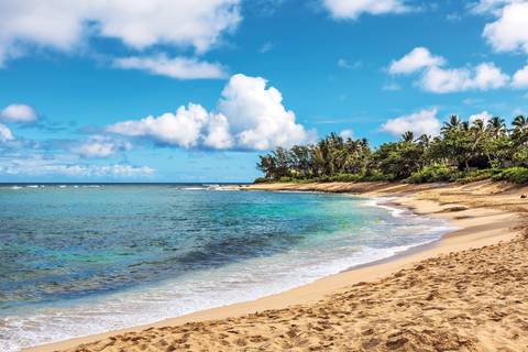 Hawaii With Oahu & Maui