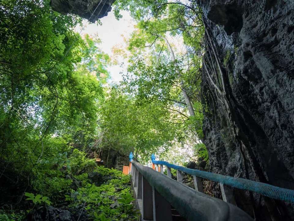 Image 12 of 21