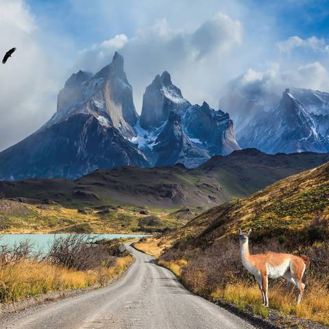 Heart Of Patagonia - Small Group