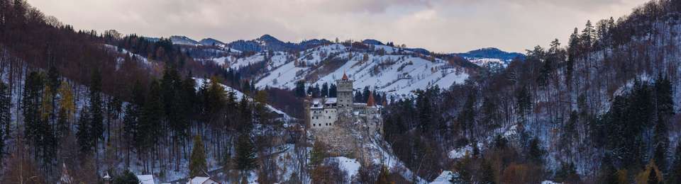 Image 2 of 4