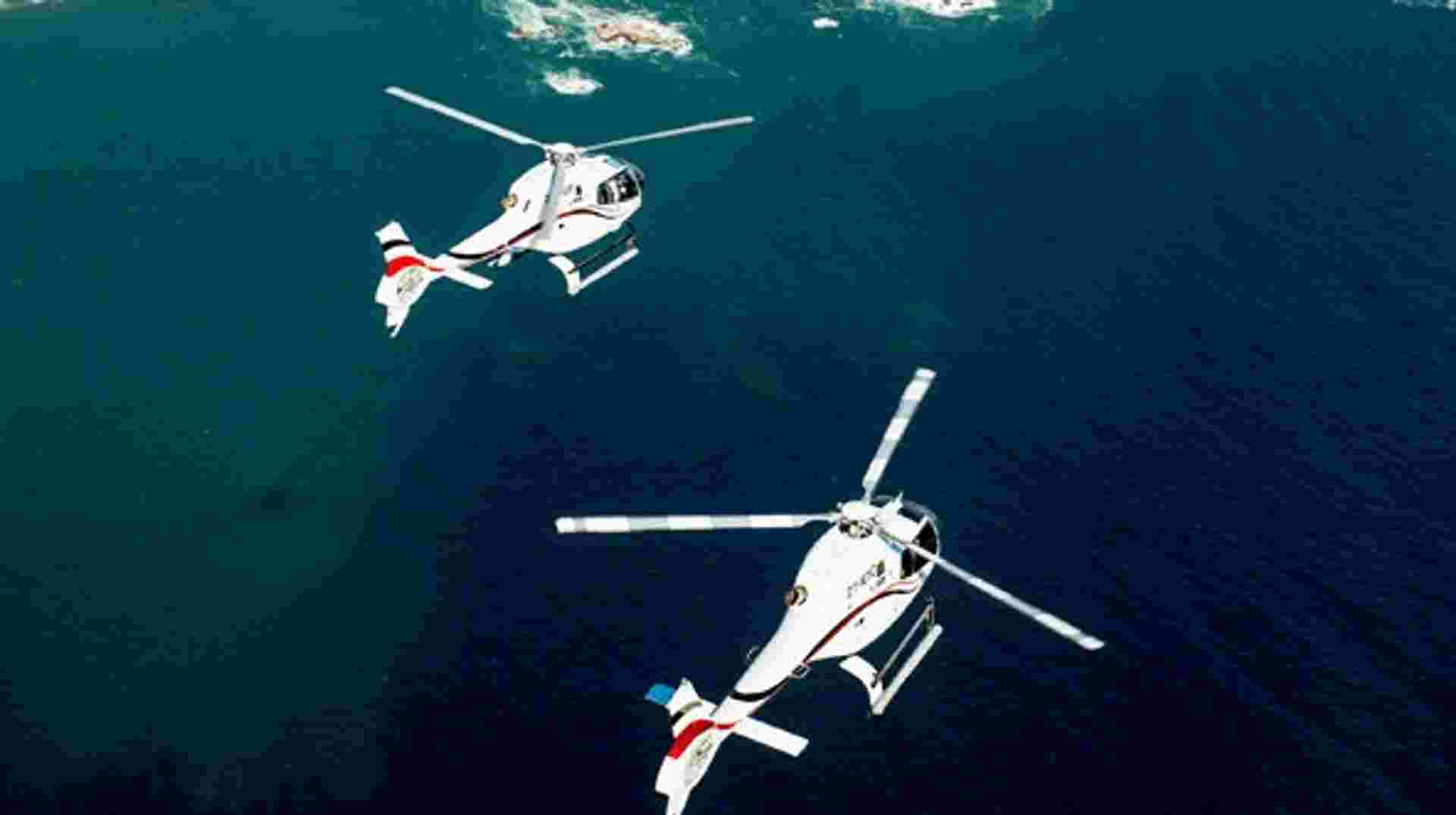 Helicopter Flight & Great White Shark Cage Diving 