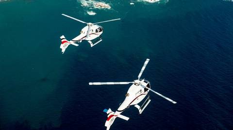 Helicopter Flight & Great White Shark Cage Diving - December 2026