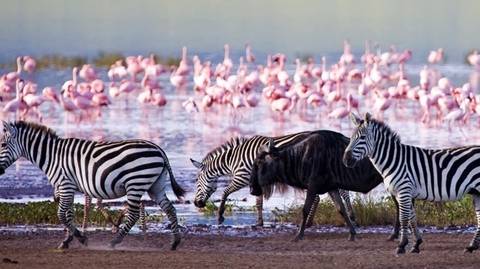 Nairobi Wildlife Tour: Hell's Gate, Naivasha, Nakuru And Maasai Mara Safari