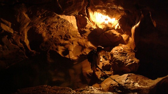 Image 4 of 10