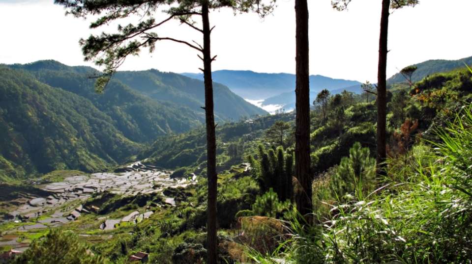 Heritage of the Cordillera: Banaue, Batad & Sagada - Uncharted Earth - Philippines - Image 7