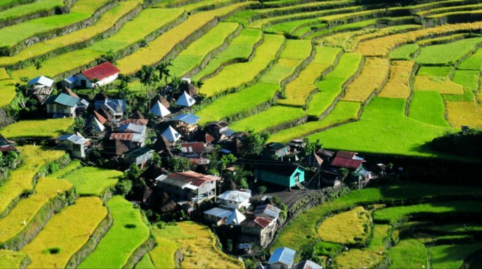 Heritage of the Cordillera: Banaue, Batad & Sagada - Uncharted Earth - Philippines - Image 9