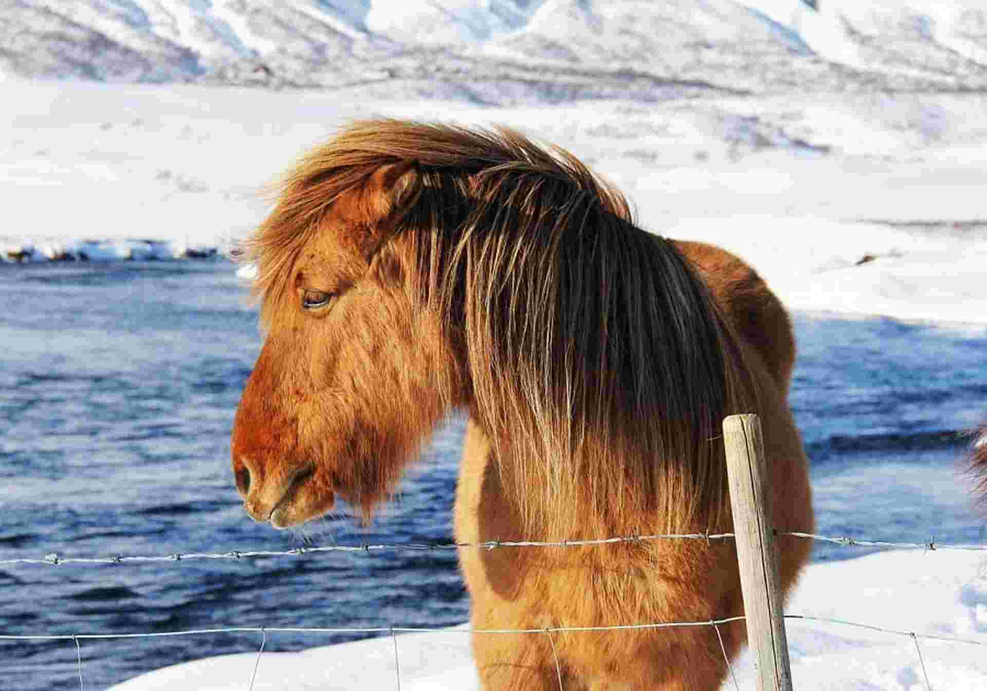 Hidden Gems of the South Iceland