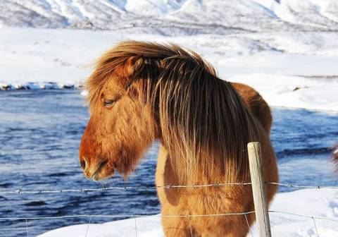Hidden Gems Of The South Iceland - 7 Days