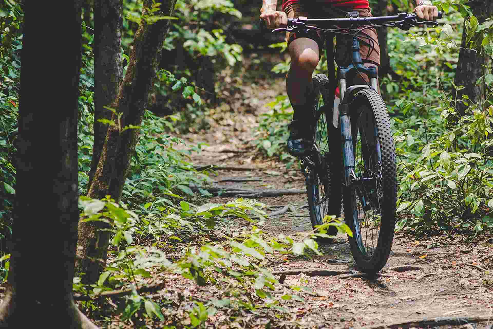 Hidden Tribes and Trails of Laos