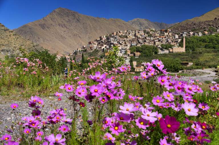High Atlas & Mount Toubkal - Privately Guided trip - alternative tour available